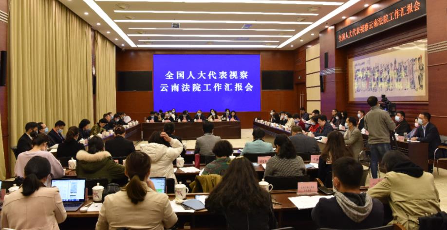 部分全国人大代表在滇开展云南法院工作视察活动